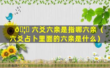 🦅 六爻六亲是指哪六亲（六爻占卜里面的六亲是什么）